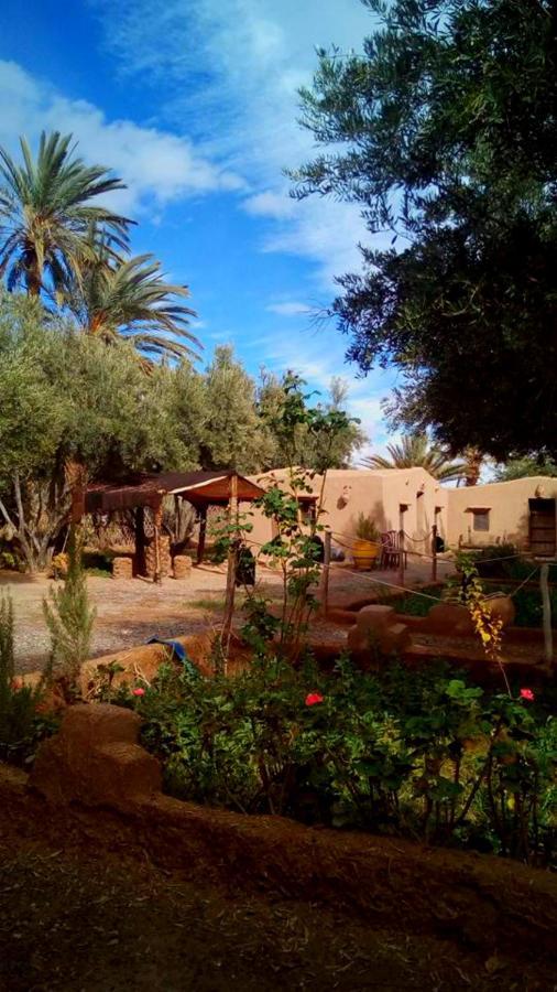 Eco-Ferme Tamalait Nskoura Skoura Exterior foto